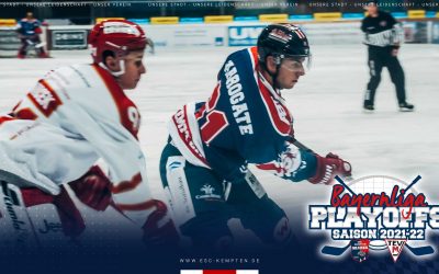 SHARKS BELOHNEN SICH NICHT