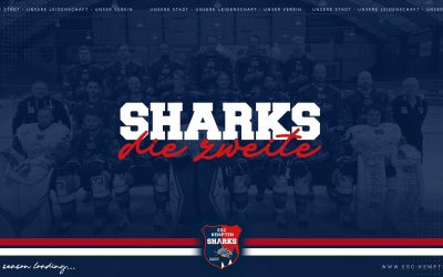 1B – SHARKS DIE ZWEITE NEWS