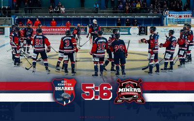 SHARKS ZEIGEN KAEMPFERQUALITAETEN