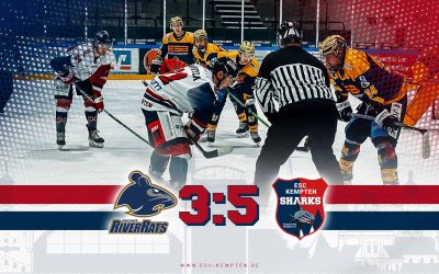 SHARKS AUF SIEGERSPUR