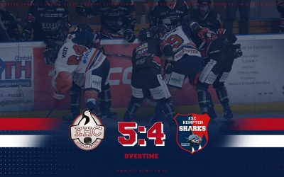 SHARKS ENTFUEHREN PUNKT VON DEN PINGUINEN