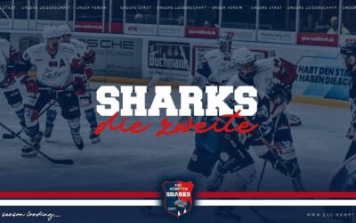 SHARKS 1B KAEMPFT VERGEBENS