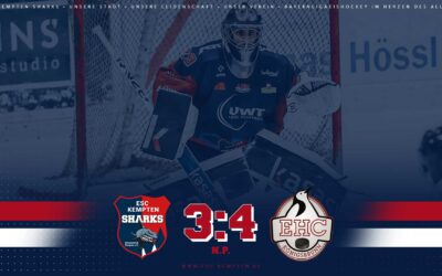 SHARKS BELOHNEN SICH NICHT