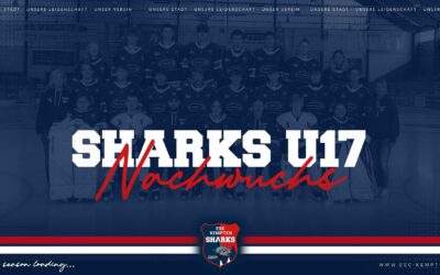 SHARKS U17 NACHWUCHS NEWS