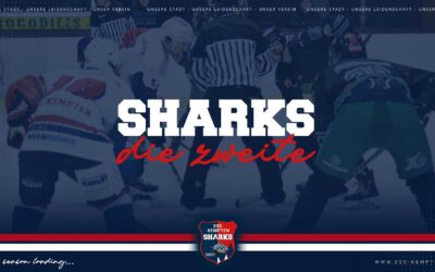 SHARKS 1B STARTET INS NEUE JAHR
