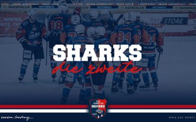 SHARKS 1B NEWS