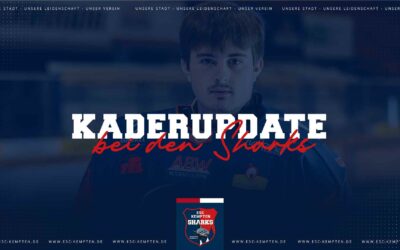 ERSTER GOALIE FIX