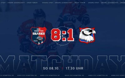 SHARKS BEENDEN DIE VORBEREITUNG