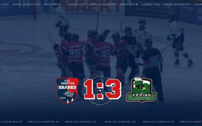 Sharks müssen sich starken Gladiators geschlagen geben