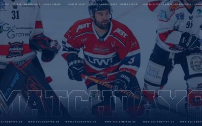 Die Sharks und die Sache mit den Favoriten