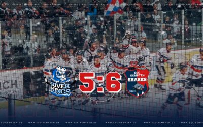 Sharks beißen auch am Lech zu