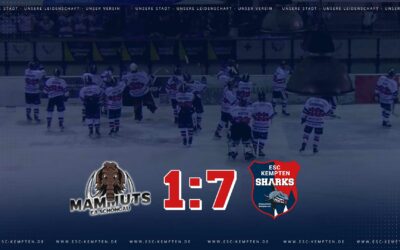 IMMER WIEDER KOKOSKA