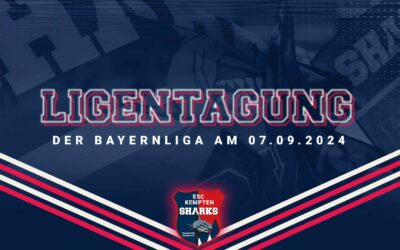 LIGENTAGUNG STATEMENT DES BEV