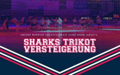 TRIKOTVERSTEIGERUNG