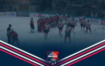 Endlich Playoff Hockey