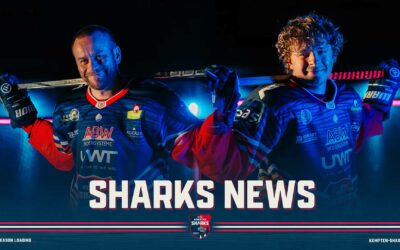 Weitere Verlängerungen bei den Sharks