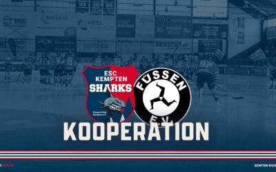 Sharks starten Kooperation mit Oberligist