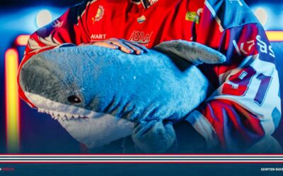 Sharks wollen zurück in die Spur